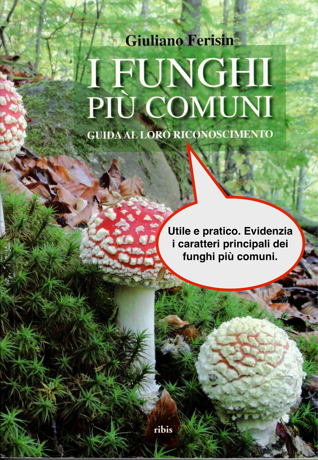 libri funghi centro micologico friulano